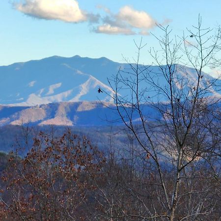 Lazy Bear Cabin Sevierville Bagian luar foto