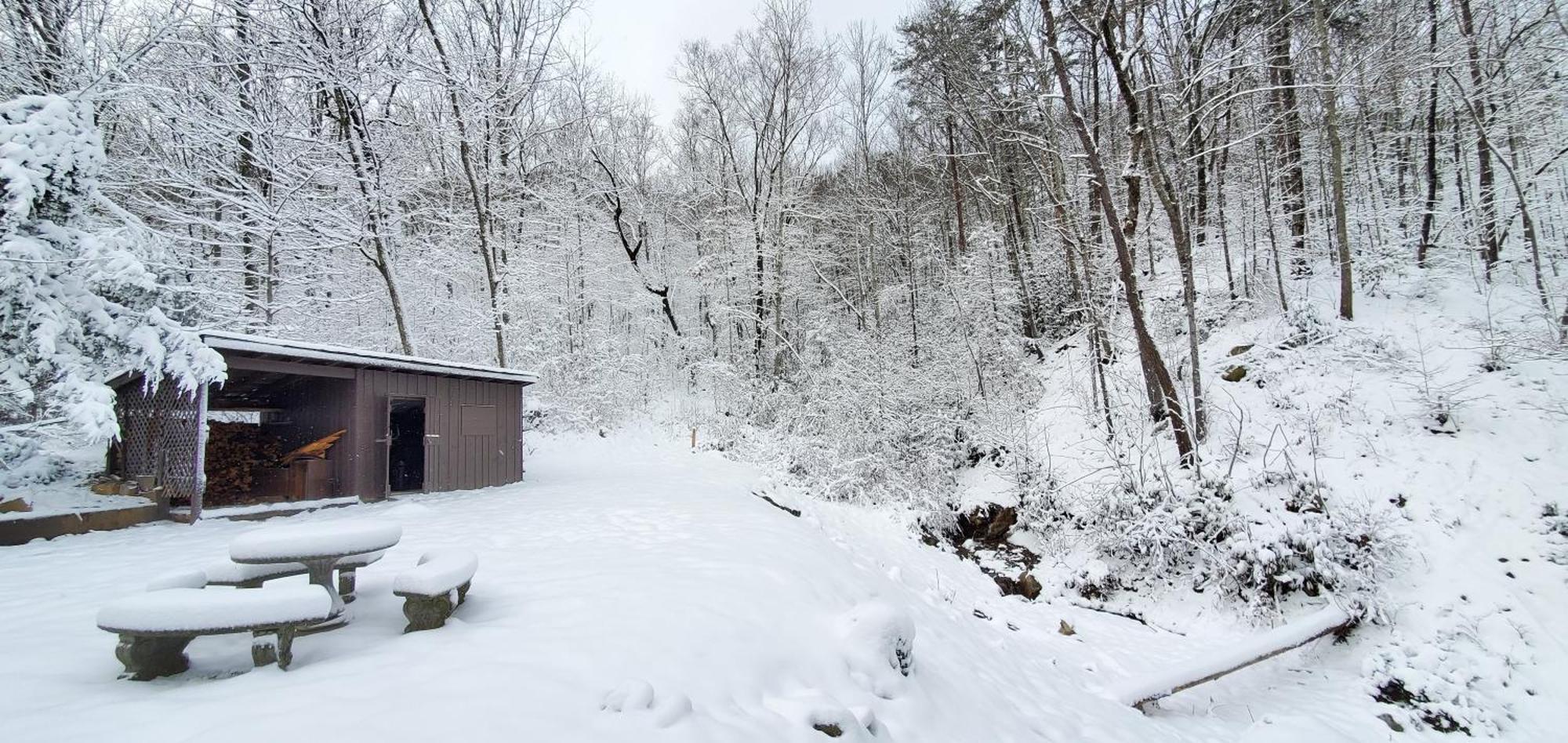Lazy Bear Cabin Sevierville Bagian luar foto
