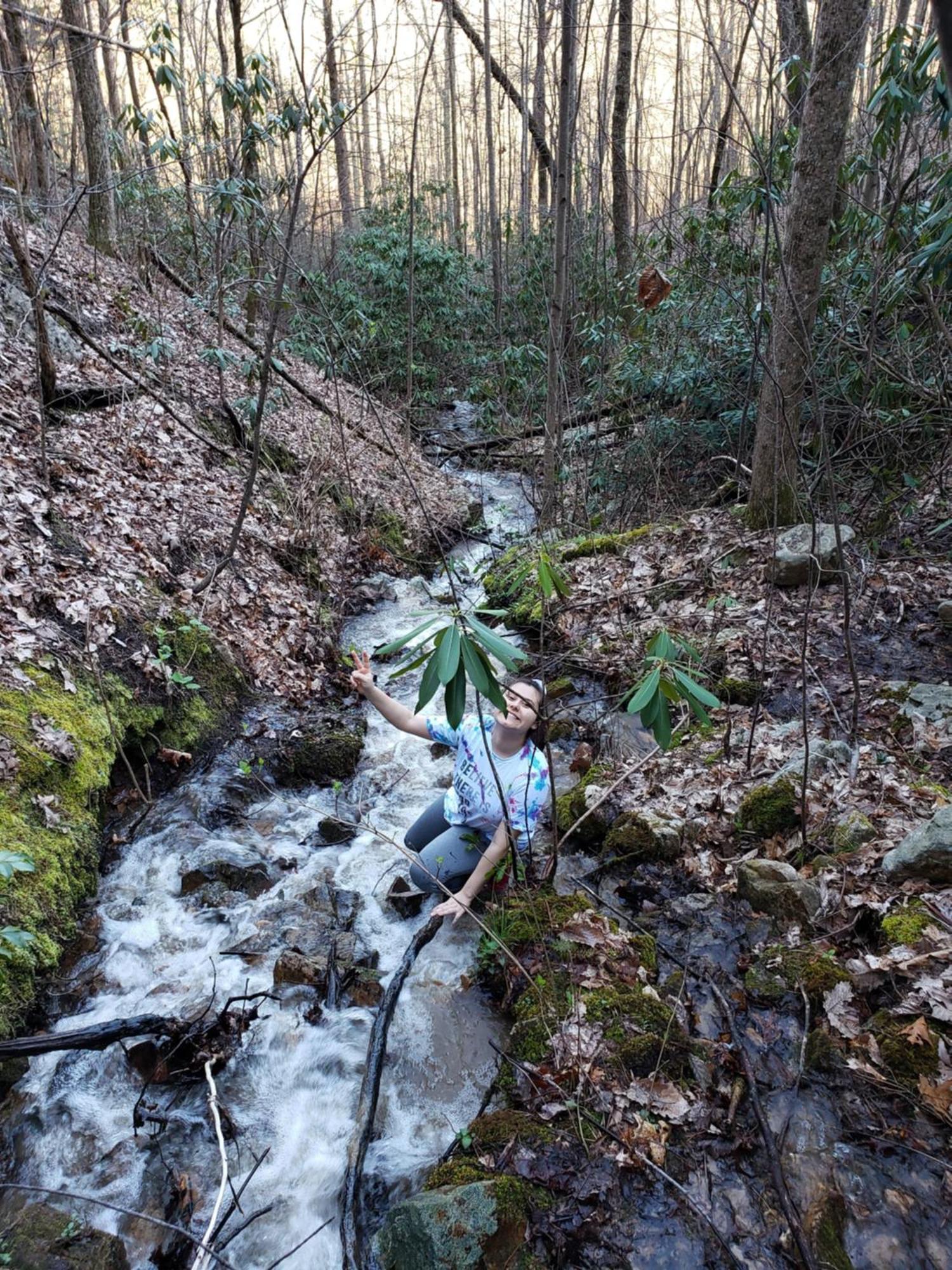 Lazy Bear Cabin Sevierville Bagian luar foto