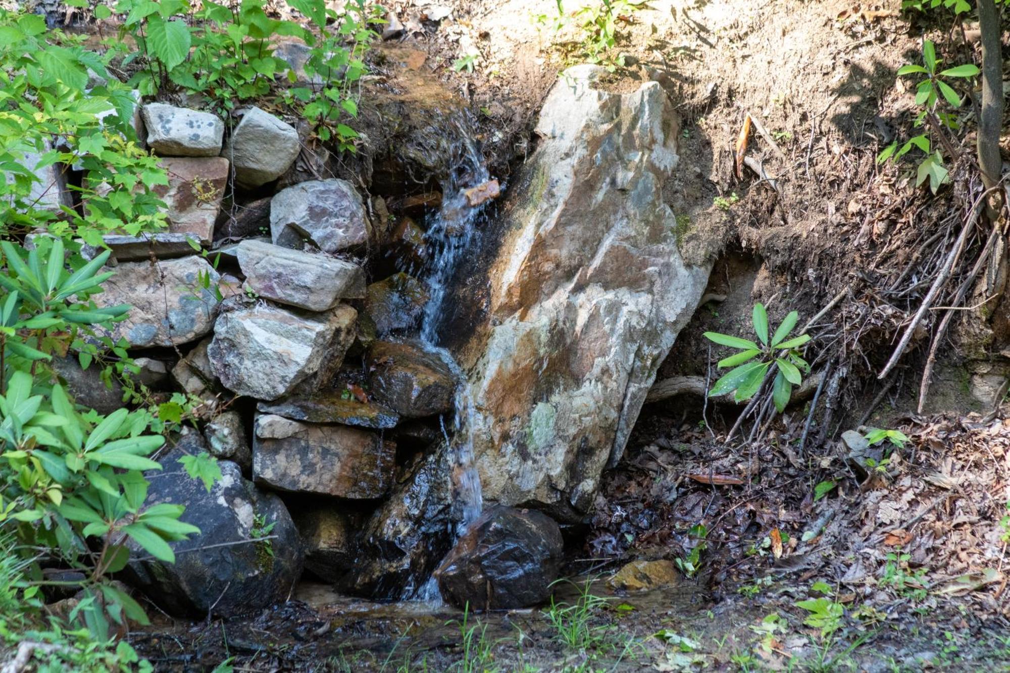 Lazy Bear Cabin Sevierville Bagian luar foto