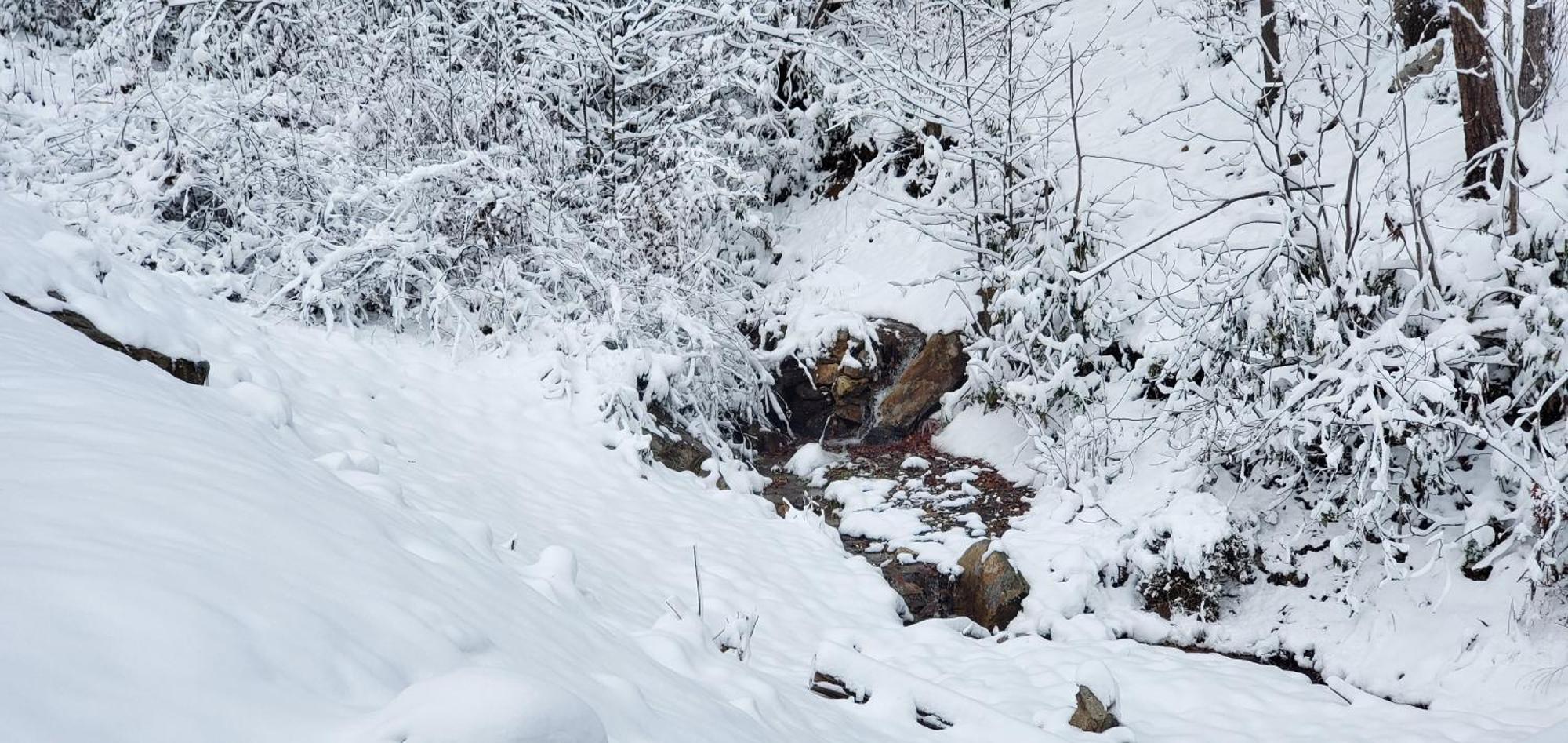 Lazy Bear Cabin Sevierville Bagian luar foto