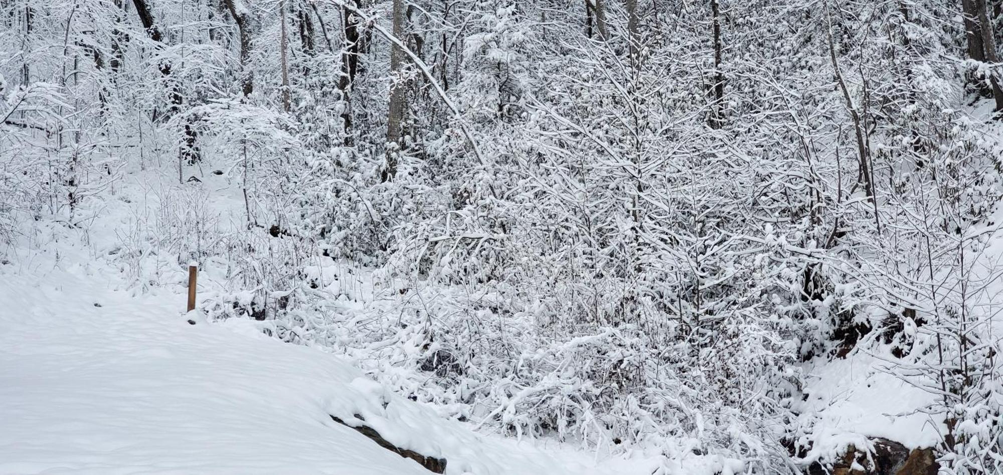 Lazy Bear Cabin Sevierville Bagian luar foto